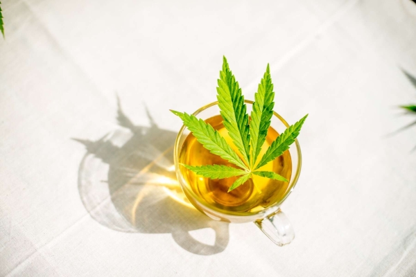 Hanf & Kräuter - Hanf & Kräutermischung Tee 40 Gramm - Dutch Harvest loser Tee