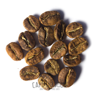 Kaffeebohnen in der gelb/braunen Phase