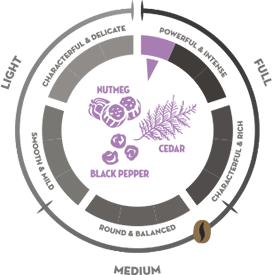 Piazza d'Oro Intenso Geschmack Navigator